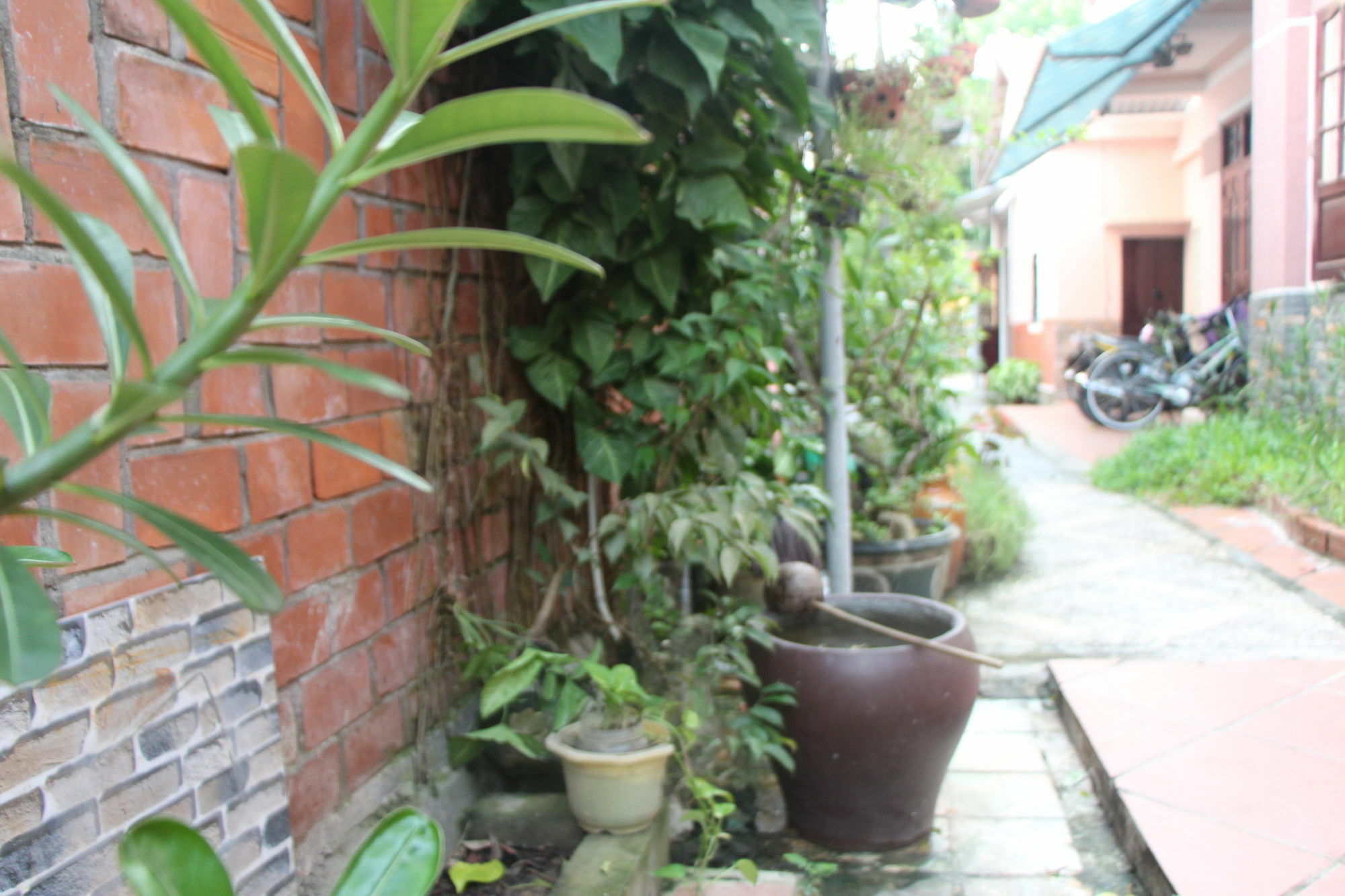 Red Ceramics Homestay Hoi An Esterno foto