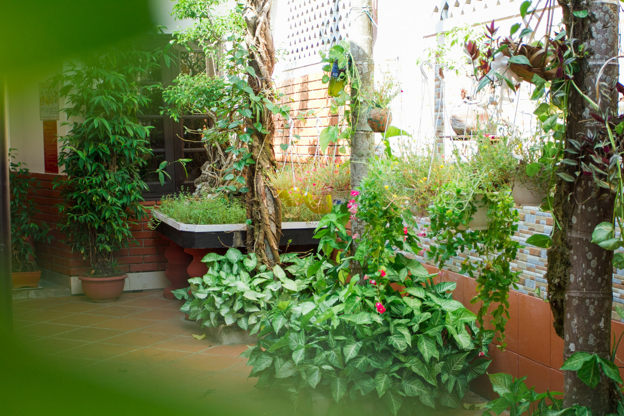 Red Ceramics Homestay Hoi An Esterno foto