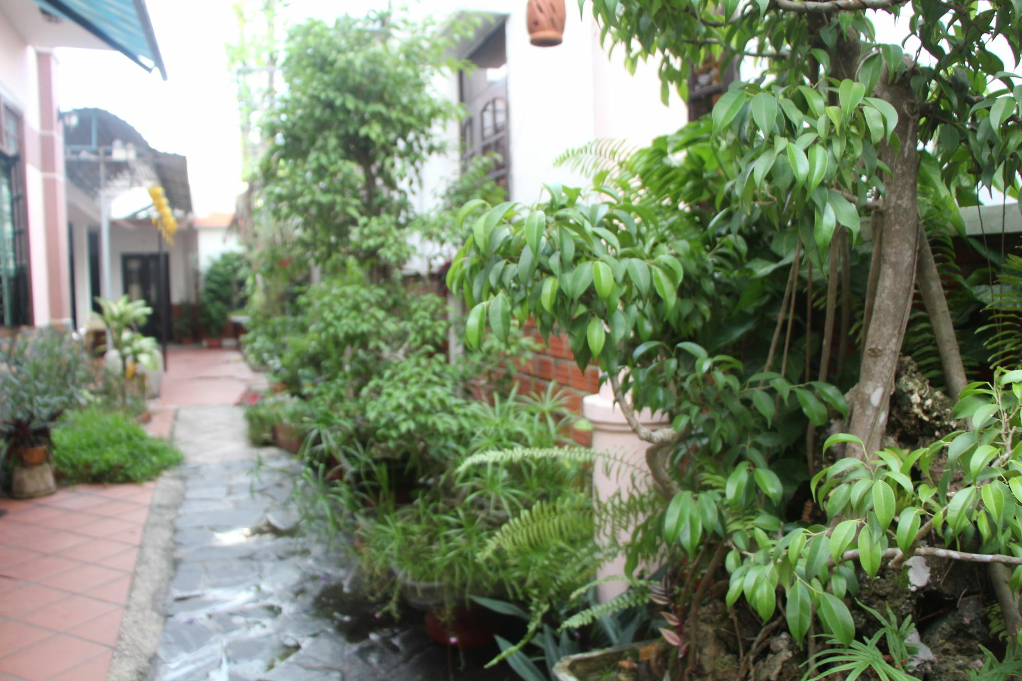 Red Ceramics Homestay Hoi An Esterno foto